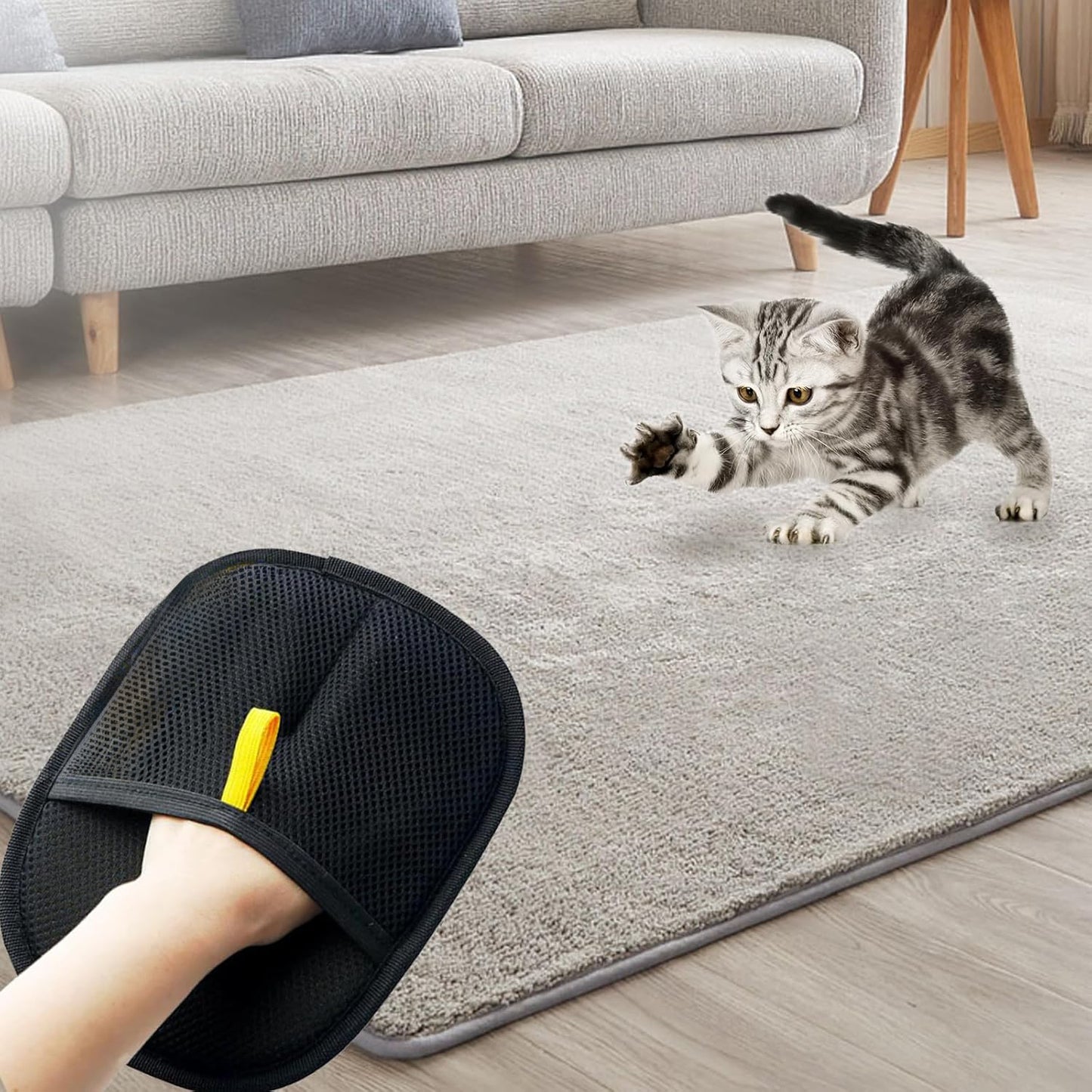 Pet Hair Removal Gloves